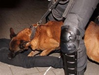 POLİS KÖPEĞİ - Hollanda'da Türk vatandaşlarına polis köpekleriyle müdahale