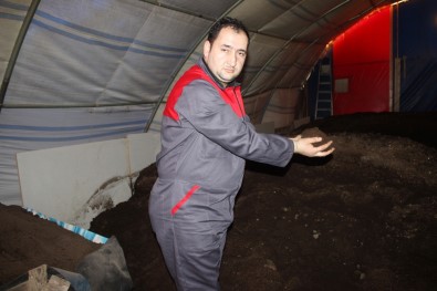 'Pis İşle Uğraşma' Diyenlere Aldırmadı Açıklaması İşinin Patronu Oldu