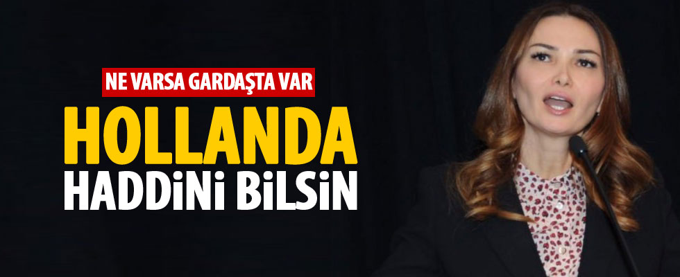 Hollanda haddini bilsin, Türkiye'nin yanındayız!