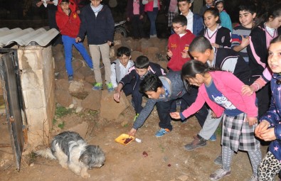 Öğrenciler Biriktirdikleri Paralarla Sokak Hayvanlarını Besledi