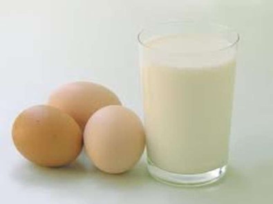Tavuk Yumurtası Üretimi Azaldı, İçme Sütü Üretimi Arttı