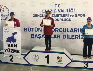 Türkiye Yüzme Finali