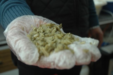 YYÜ'den Diyabet Hastalarını Umutlandıran Çalışma