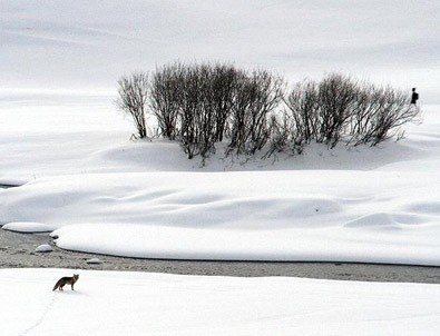 4 yaşındaki kız anneannesini kurtarmak için saatlerce yürüdü
