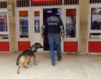 TİMSAH - Gaziantep Dedektör Köpekli Huzur Operasyonu
