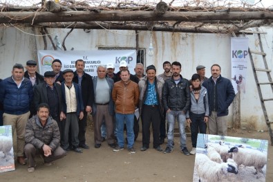 'Göçe Karşı, Bafra Koyunu Yetiştiriciliği' Projesinde 115 Üreticiye Eğitim Verildi
