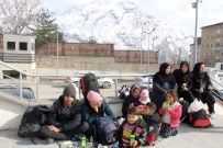 İran Üzerinden Hakkari'ye Geldiler Açıklaması Tam 50 Kişi!