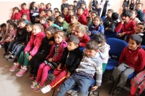 SALYAZı - Köy Okulundaki Çocuklar Geleneksel Türk Tiyatrosu İle Tanıştı