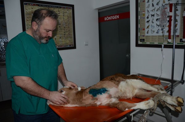 Messi'nin ayağı ameliyatla kesildi