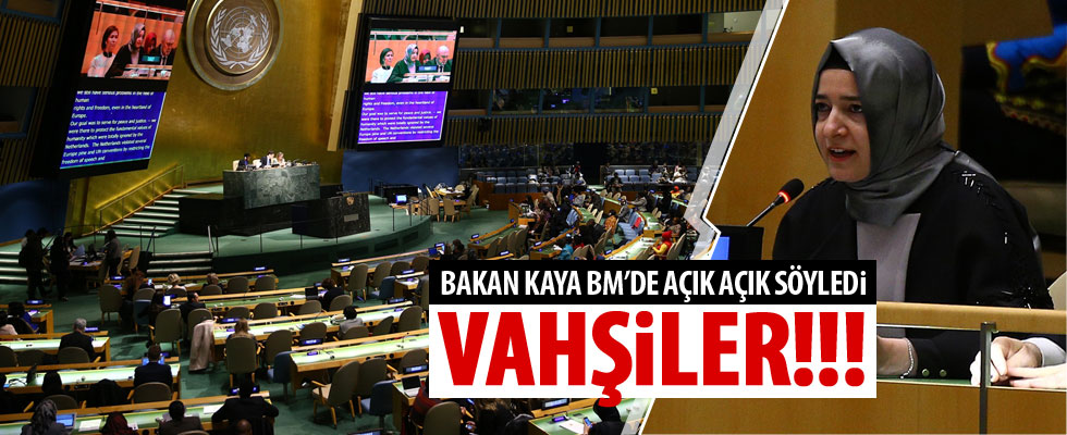 Bakan Kaya, BM'de konuştu