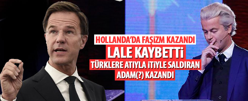 Hollanda'da ilk seçim sonuçları belli oldu