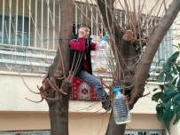 Kendi Küçük Yüreği Büyük