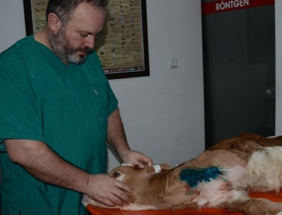 Messi'nin ayağı ameliyatla kesildi