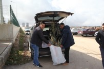 ORMAN ALANI - Şahinbey'de 184 Bin Fidan Dağıtıyor