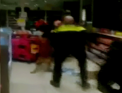 Hollanda polisinin vahşeti kamerada