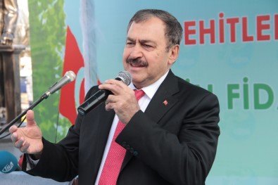 Orman Ve Su İşleri Bakanı Veysel Eroğlu Sarıyer'de Fidan Dağıttı