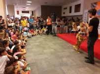 KONSEPT - Pet İzmir 2017 Kapılarını Açıyor