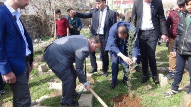 Viranşehir'de Fidan Dikme Kampanyası