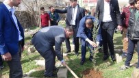 ÖMER ÇİMŞİT - Viranşehir'de Fidan Dikme Kampanyası