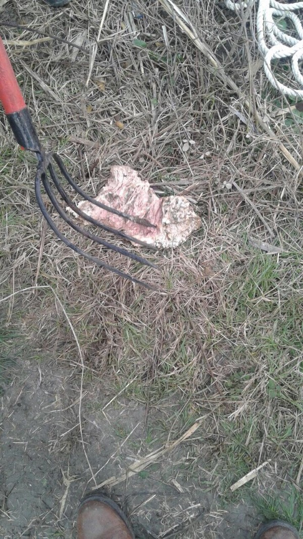 Balıkesir'de vahşet