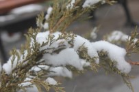 KAZMA KÜREK - Ağrı'da Kar Yağışı Devam Ediyor