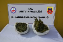 Artvin'de Jandarmadan Uyuşturucu Operasyonu