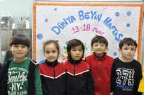 MAKET SERGİSİ - İlkokul Öğrencileri Dünya Beyin Haftasını Kutladı