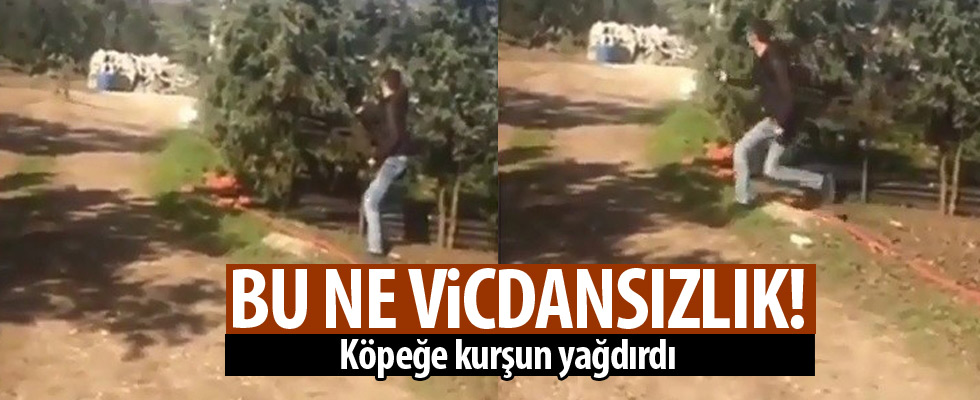 Köpeğe ateş edip sosyal medyada paylaştı