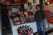 Mezgit Fiyatlarına 'Galatasaray' Dopingi