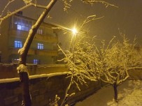 Van'da Kar Yağışı