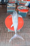KILIÇ BALIĞI - 2 Metre Boyunda Kılıç Balığı Yakalandı