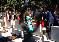 YURTTA SULH CİHANDA SULH - Mersin Şehitliğinde Hüzünlü Tören