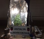 Antalya'da 'Skunk'a Jandarma Baskını