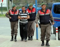 PAYALLAR - Arkadaşını Çekiçle Öldürdü