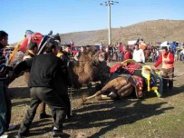 MEHMET ÜNAL ŞAHIN - Develer Depremzedeler İçin Güreşecek