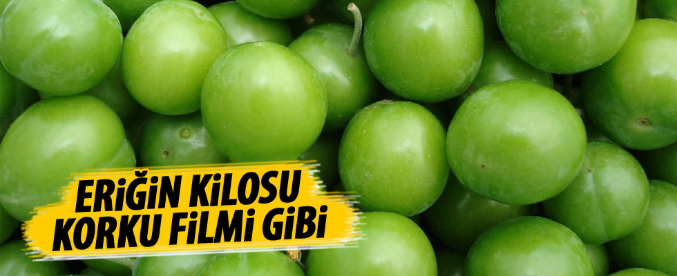 Fiyatı korku filmi gibi!