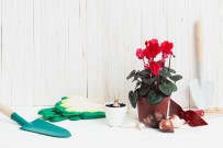 DOĞUM GÜNÜ PARTİSİ - Minikler Çiçek Dikimini Öğrenecek