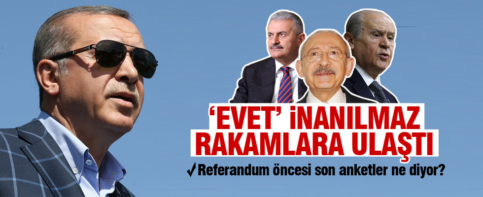 Referandum öncesi son anket