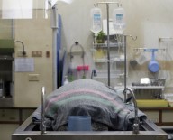 5 Kilogram Bozuk Para Yutan Kaplumbağaya Operasyon