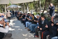 CAFER ESENDEMIR - Ali Hoşfikirer, Kabri Başında Anıldı