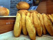 GIDA DENETİMİ - Bakan Çelik'ten 'Ekmekte GDO' iddiasına ilişkin açıklama