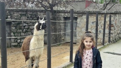 Darıca Hayvanat Bahçesi Abhaz Çocukları Ağırladı