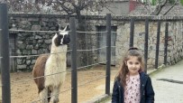 FARUK YALÇIN HAYVANAT BAHÇESİ - Darıca Hayvanat Bahçesi Abhaz Çocukları Ağırladı