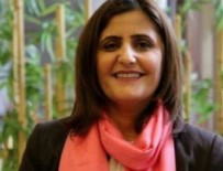 DIRAYET - HDP'li vekil gözaltına alındı