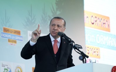 Cumhurbaşkanı Erdoğan Açıklaması 'Bunun Yalanlarının Freni Yok'