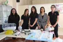 SAĞLIK MESLEK LİSESİ - Kullanılmayan Kağıt Ve Plastiklerden Ambulans Tasarladılar