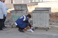 HACI BAYRAM - 2 Günlük Bebeği Çöp Konteynerine Attılar