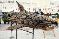 TÜRKIYE ORMANCıLAR DERNEĞI - Antalya'nın En Güzel Ağacı Seçiliyor