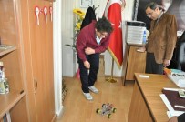 MURAT ZADELEROĞLU - Lise Öğrencileri Araştırma Projesinde Dereceye Giren Öğrenciden Kaymakama Ziyaret