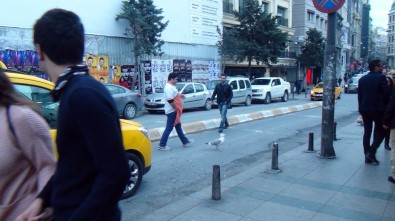 Taksim'de Kanadı Kırık Martıya Vatandaş Şefkati